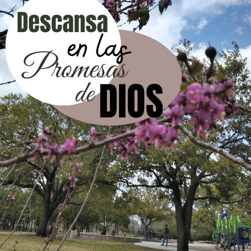 ¡No te derrumbes! Descansa en las Promesas de&nbsp;Dios